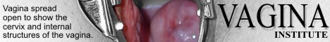 The Vagina Institute